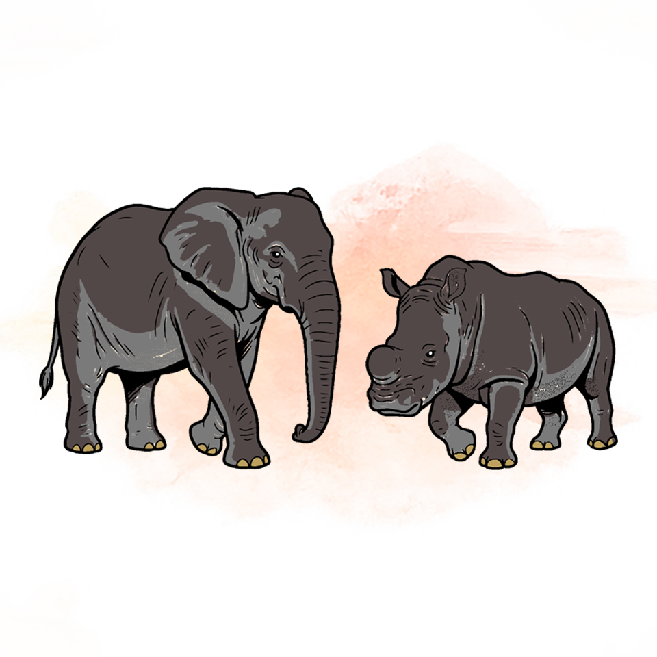 Illustration of an elephant and a rhino with no tusks or horns