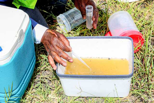 Kenya Medical Research Institute (KEMRI) Machakos County Community health promoter William Omwansa uses a sampling tube to collect mosquito larvae from stagnant water during vector surveillance in Machakos on April 17, 2026. Lucy Wanjiru | Nation